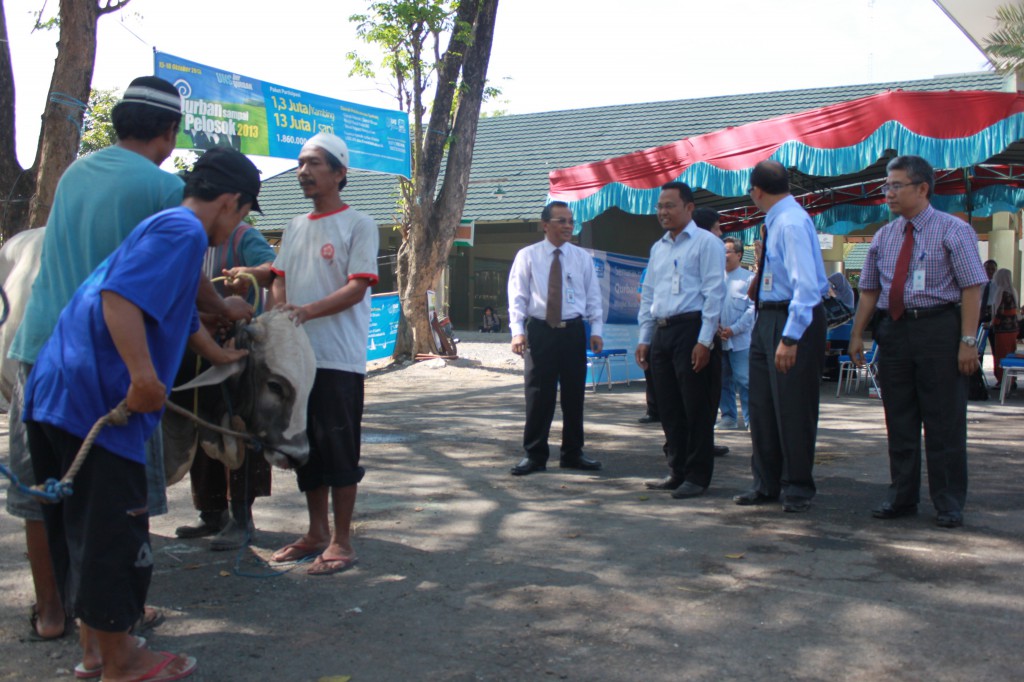 QSP 2013 Sembelih 125 Kambing dan 10 Sapi